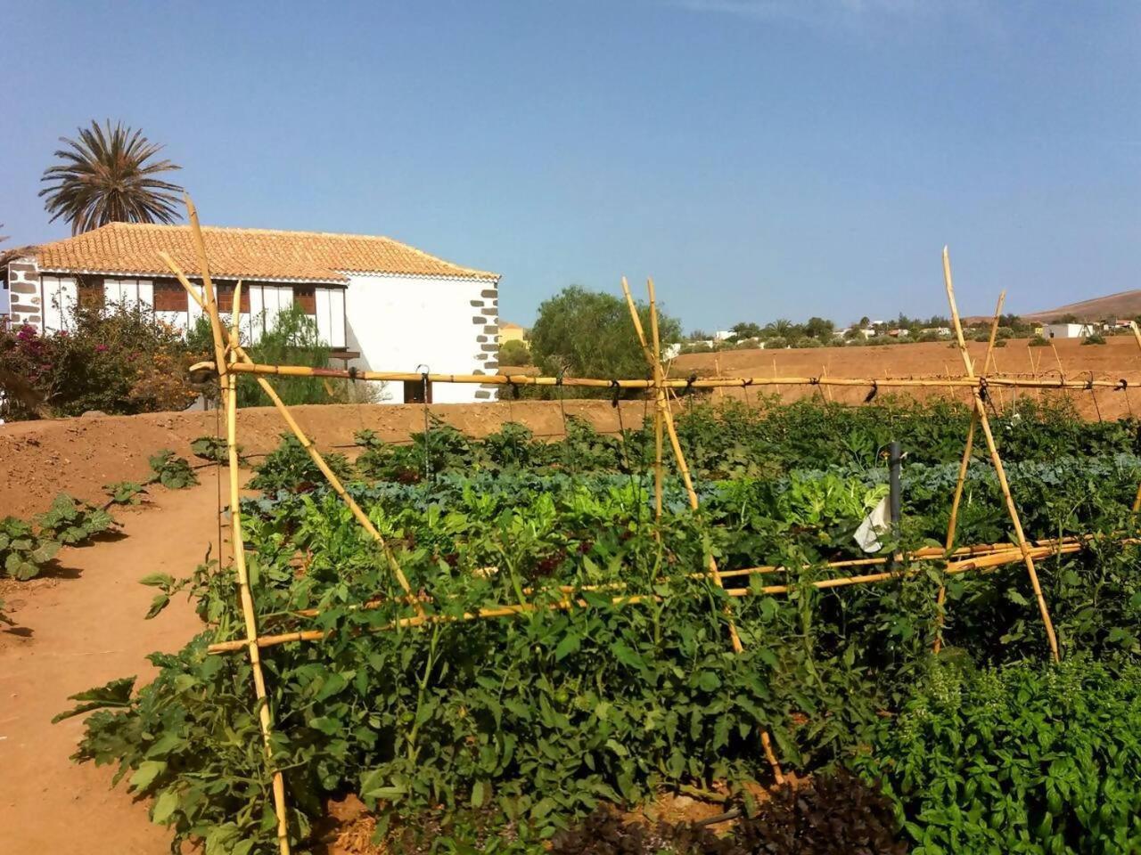 Rural Rugama Villa Пуерто дел Росарио Екстериор снимка