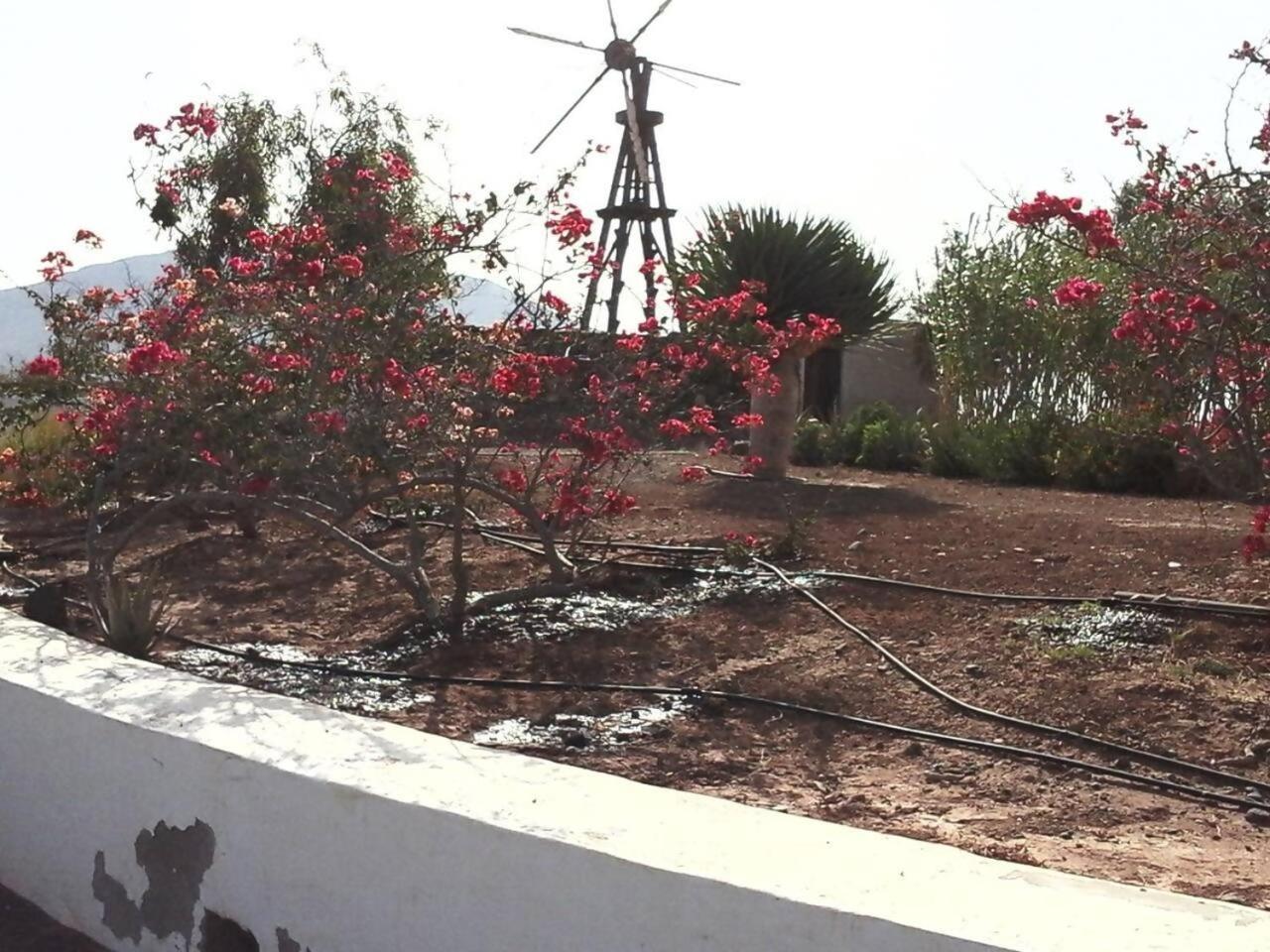 Rural Rugama Villa Пуерто дел Росарио Екстериор снимка